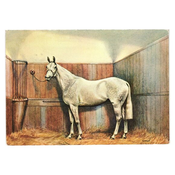 Vintage Horse Illustration Postcard Tucks 2518 Printed In Switzerland Equestrian - Picture 1 of 2